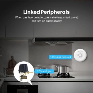 Smart Gas Leak Detector